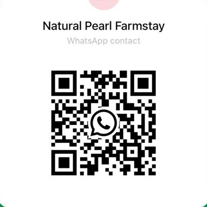 QR code that opens a WhatsApp chat with Natural Pearl Farmhouse